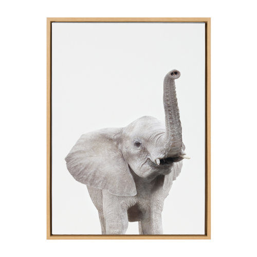 Wayfair Elephant Wall Art You'll Love in 2023